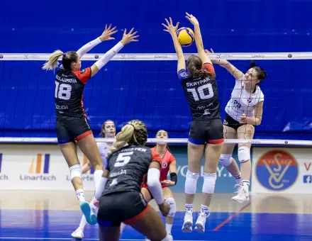 EDZŐMECCSEK ÉS MAGYAR KUPA