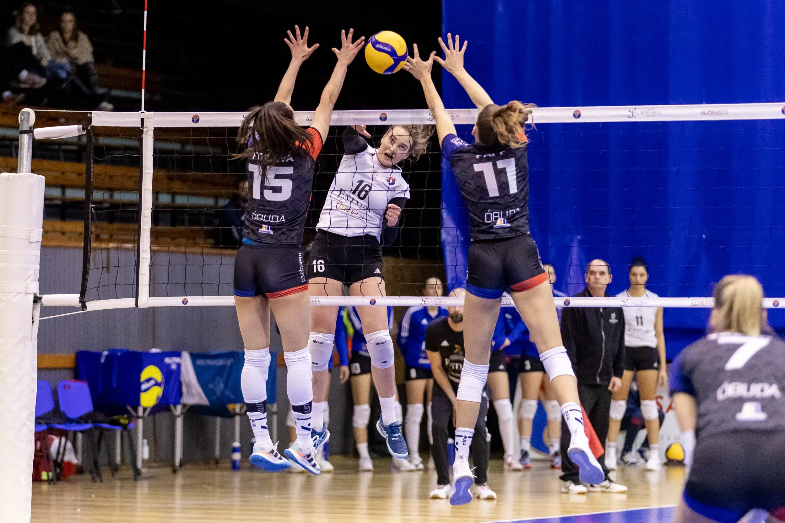 KEZDŐDIK AZ ELŐDÖNTŐ!