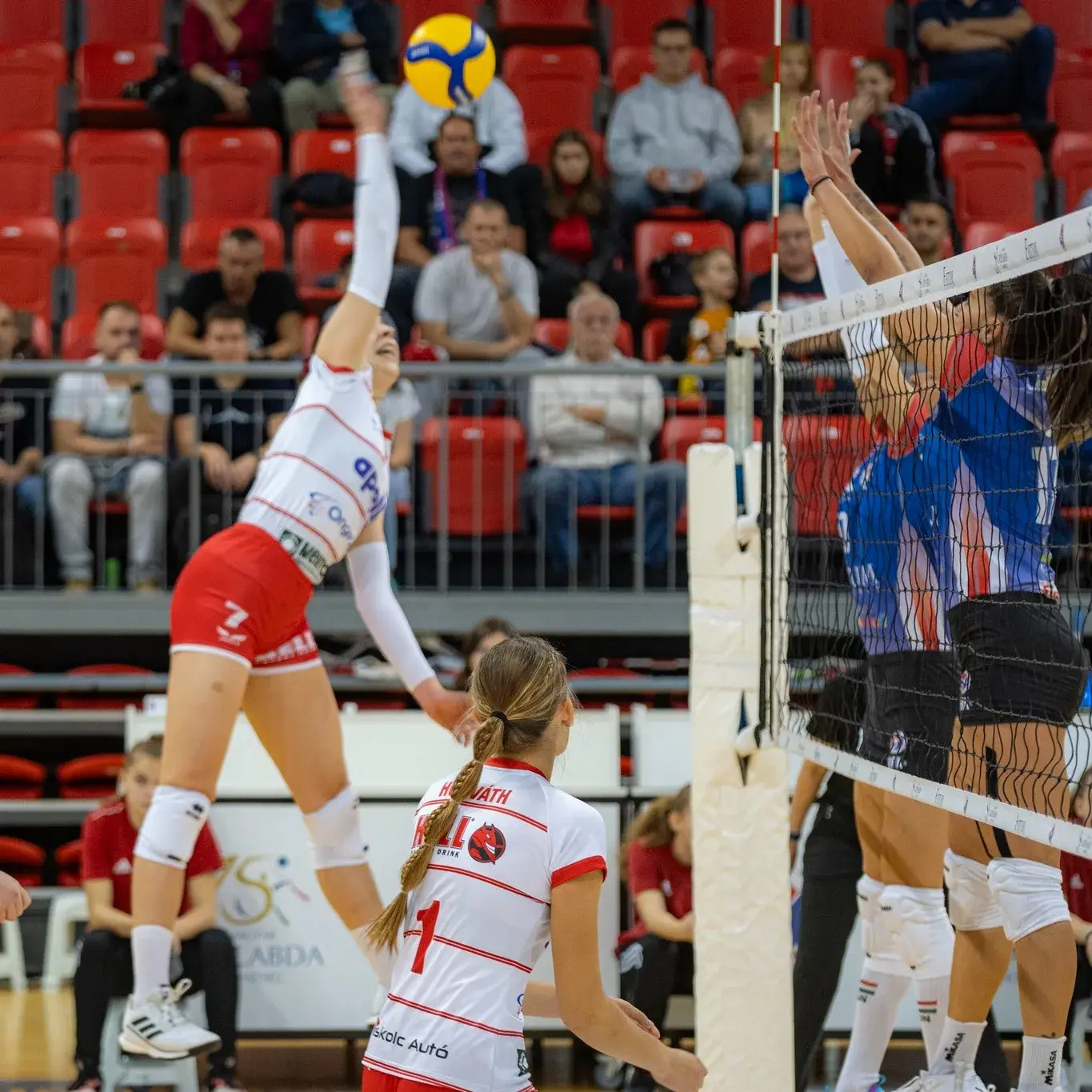 VISSZA A GYŐZTES ÚTRA!